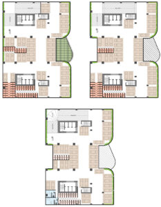 طبقه مثبت یک تا مثبت سه